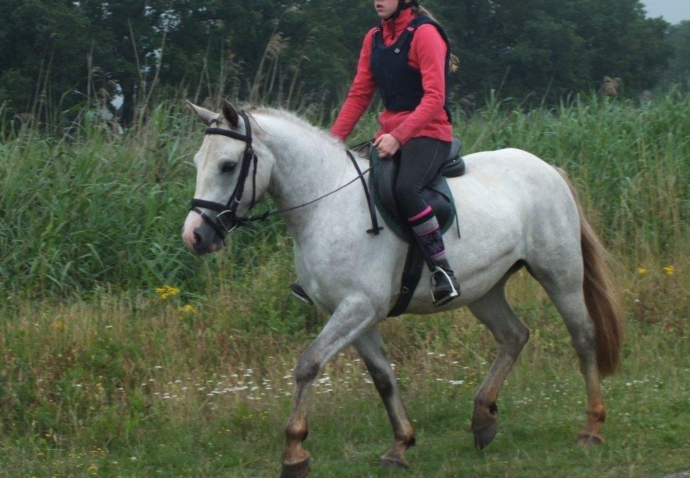 Elmy van de Haar elmy vd haar (6)