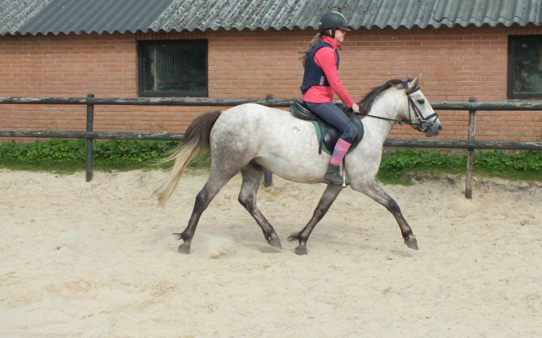 Fithor van de Haar fithor (2)