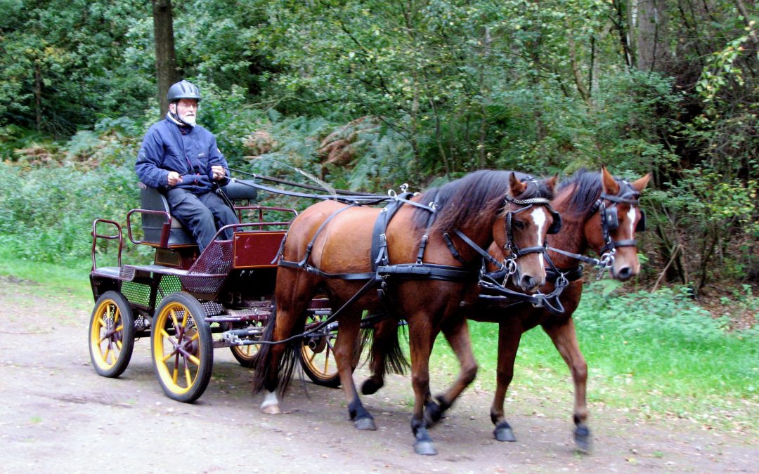 Djoeke van de Haar IMG_3771