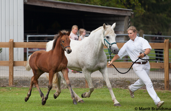 Josien van de Haar_MG_0226